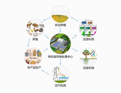 李彩斌:减污+降碳!中持绿色为环保与农业架起桥梁